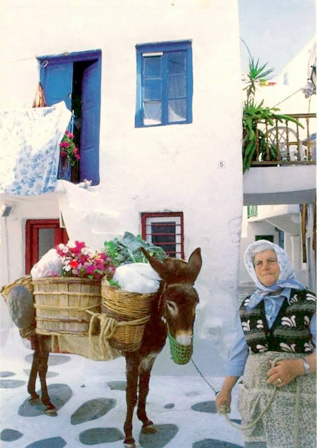 enallaktika.gr