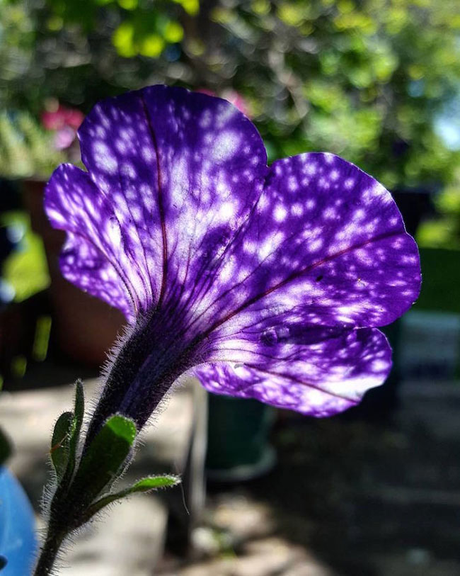 enallaktika.gr