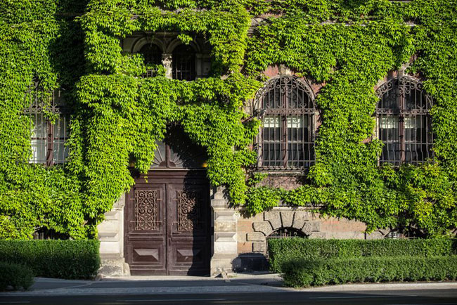 enallaktika.gr