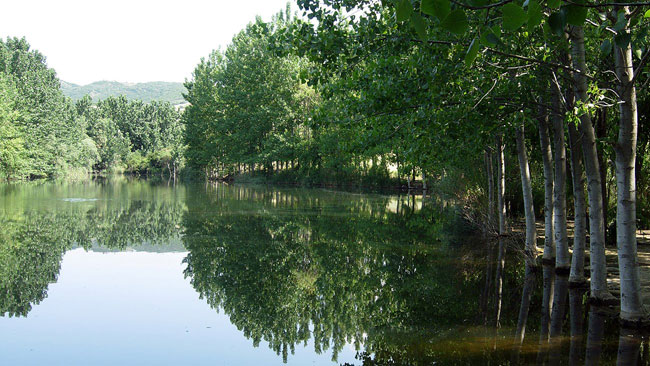 enallaktika.gr