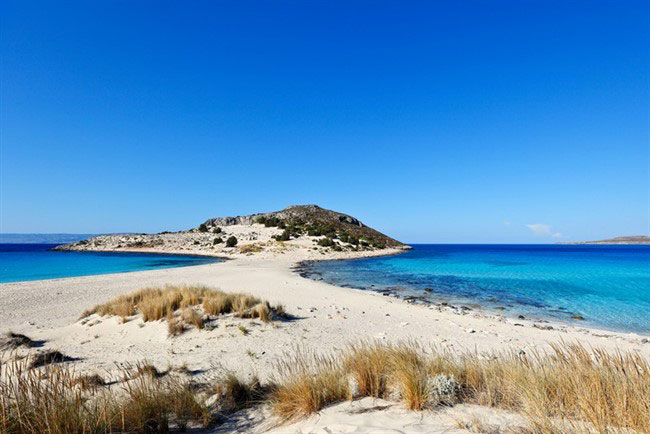 enallaktika.gr