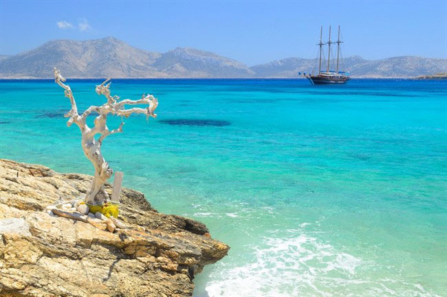 enallaktika.gr