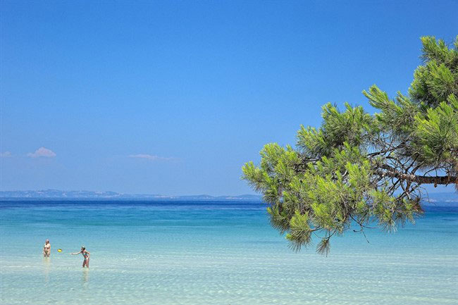 enallaktika.gr