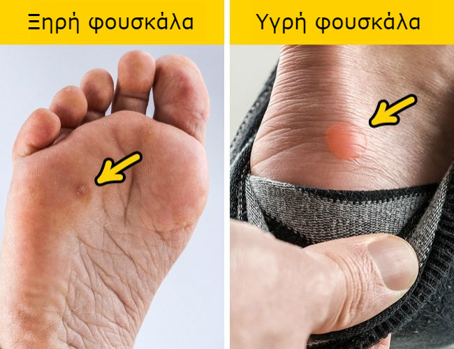 enallaktika.gr
