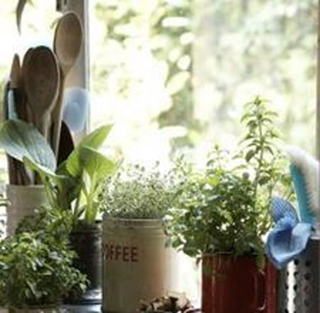 enallaktika.gr