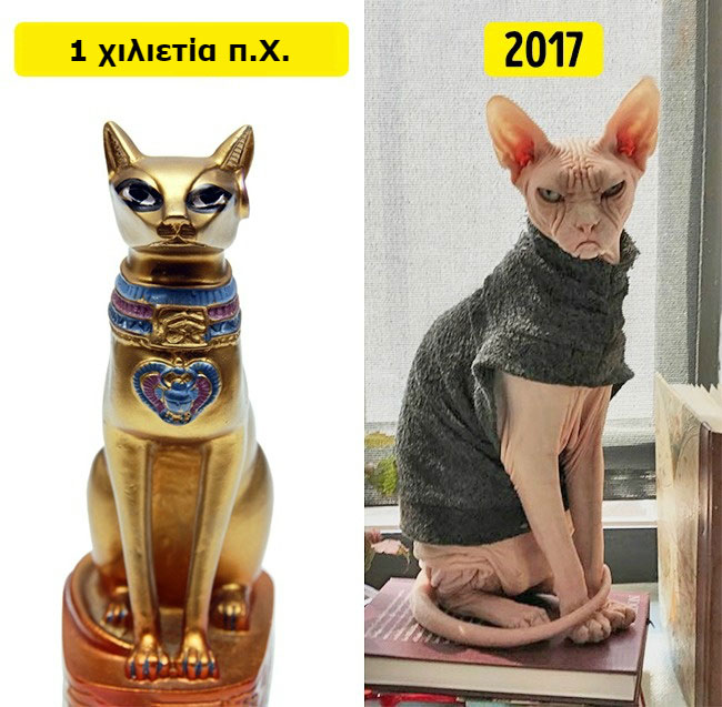 enallaktika.gr