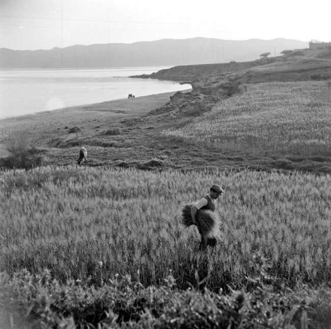 enallaktika.gr