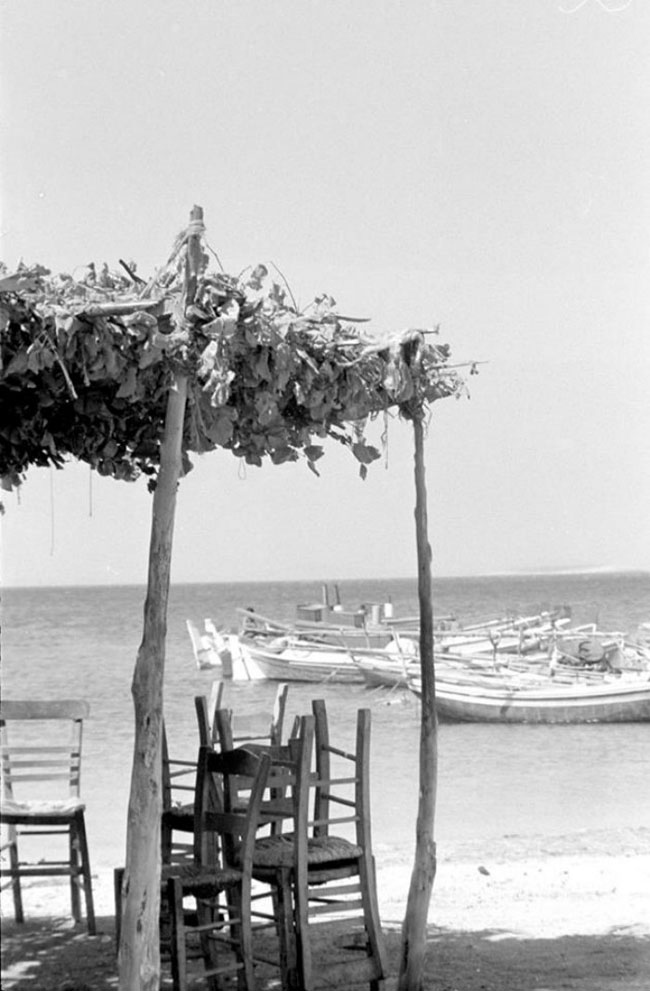 enallaktika.gr