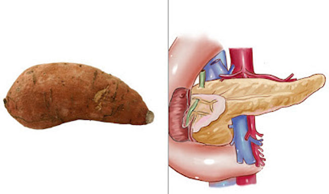 enallaktika.gr