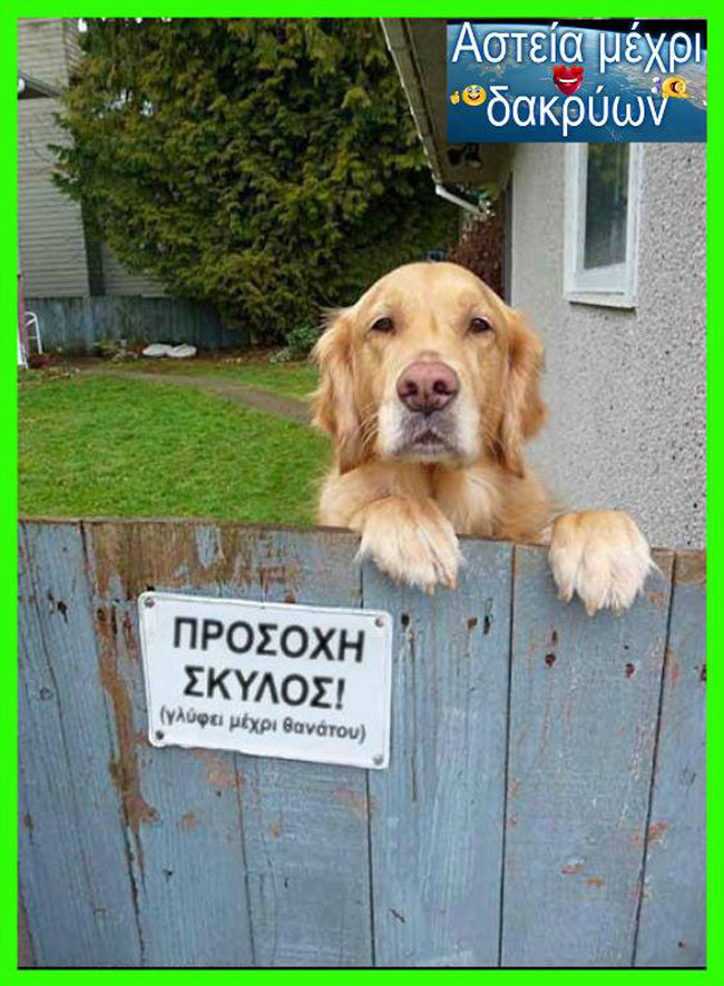 enallaktika.gr