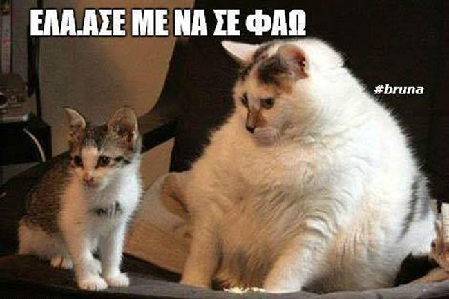 enallaktika.gr