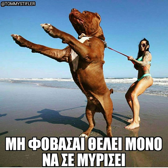 enallaktika.gr