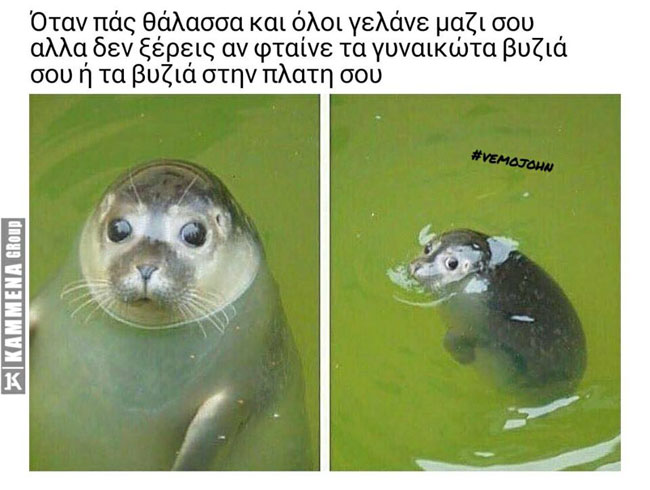 enallaktika.gr