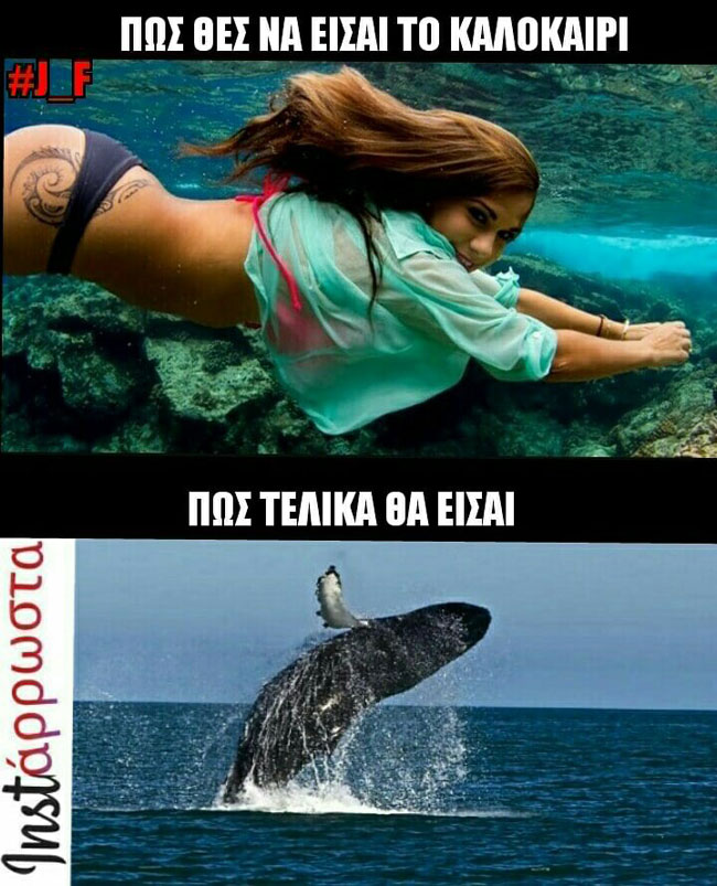 enallaktika.gr