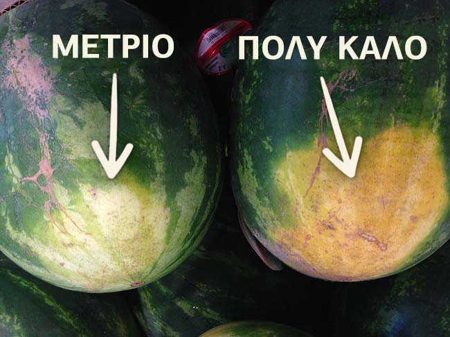 enallaktika.gr