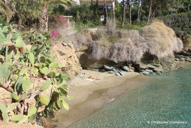 enallaktika.gr