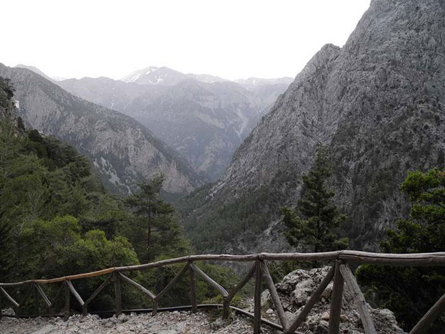 enallaktika.gr