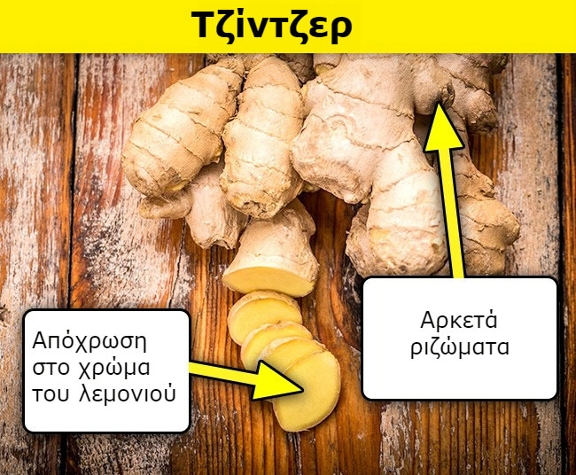 enallaktika.gr