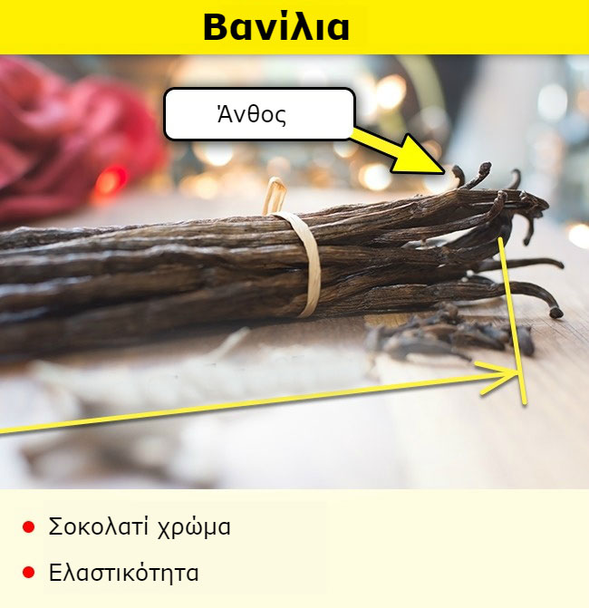 enallaktika.gr