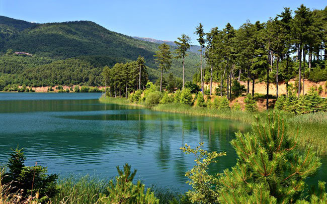 enallaktika.gr
