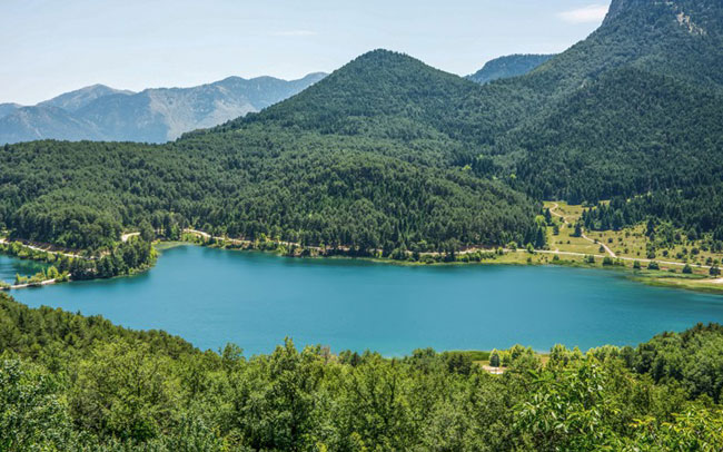 enallaktika.gr