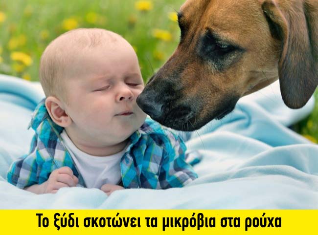 enallaktika.gr