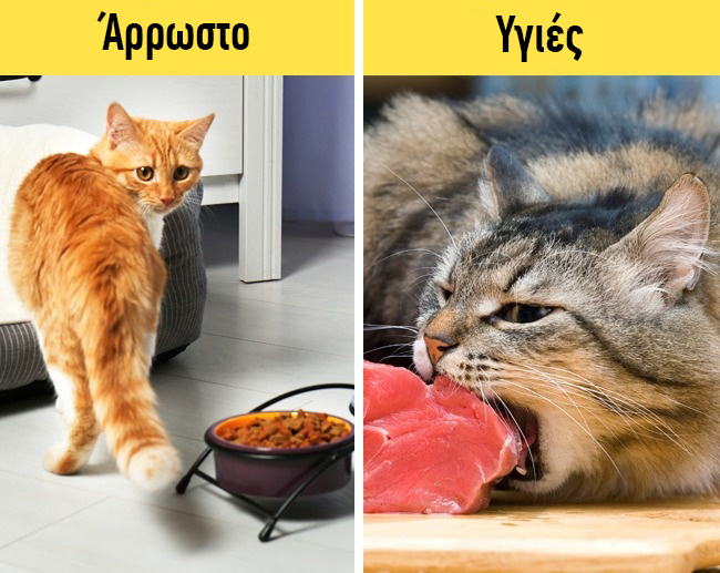 enallaktika.gr