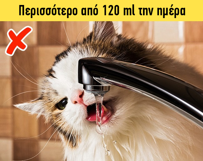 enallaktika.gr