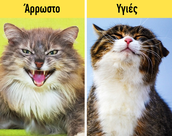 enallaktika.gr