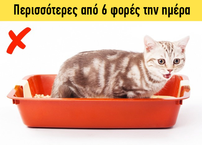 enallaktika.gr