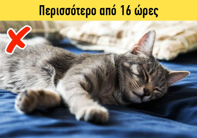 enallaktika.gr