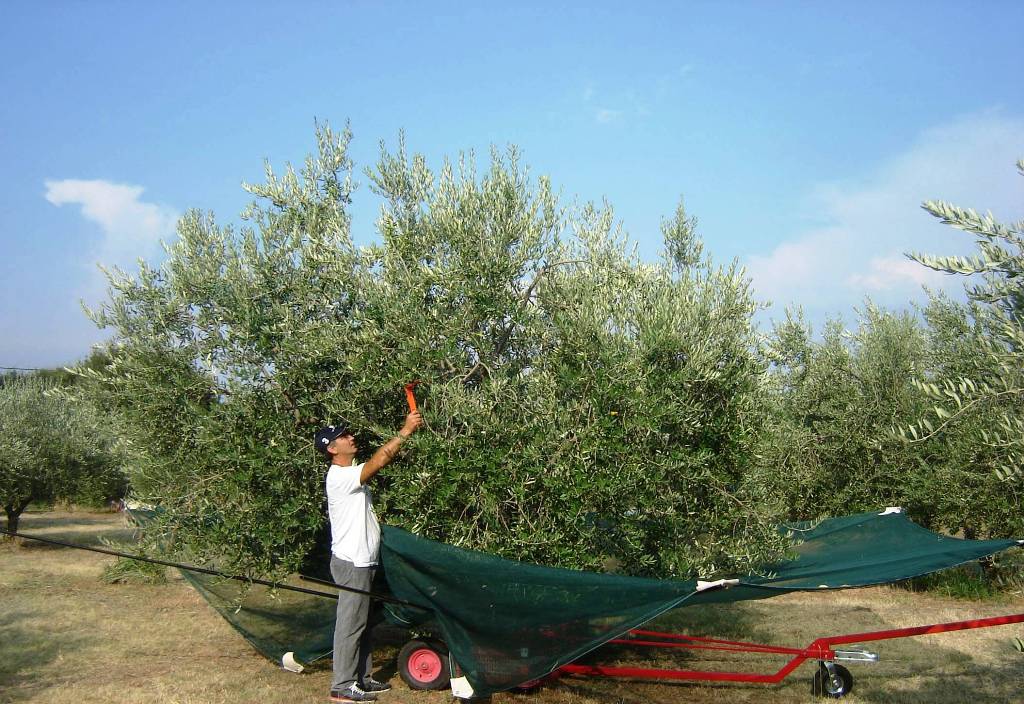 enallaktika.gr