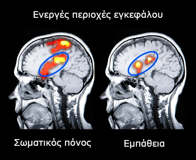 enallaktika.gr