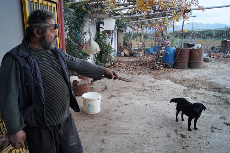 enallaktika.gr