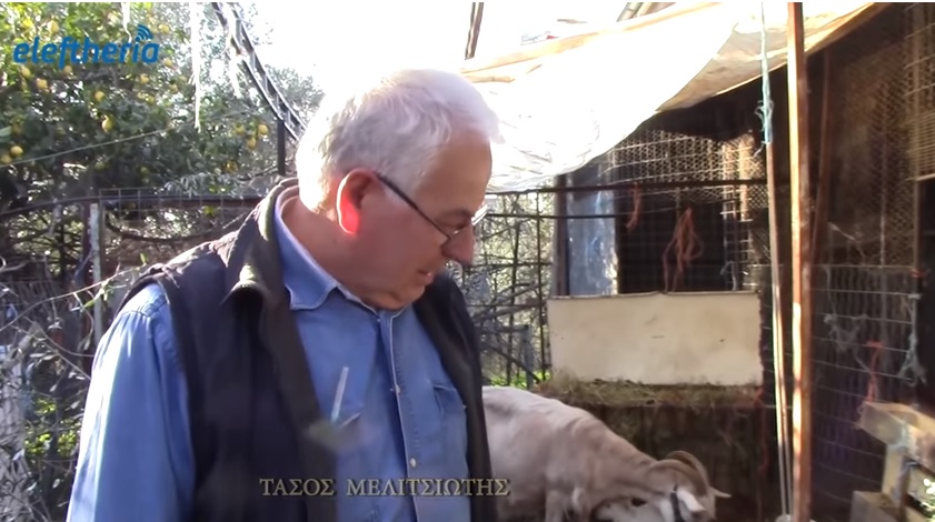 enallaktika.gr